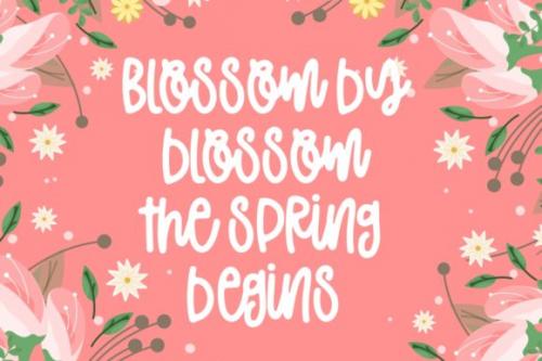 Magic Spring Script Font