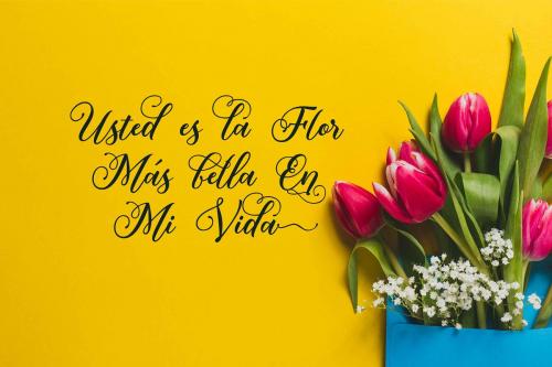 Mahligai Script Font