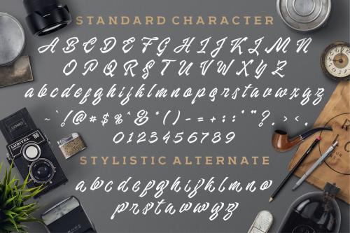 Manhattan Brush Ink Script Font