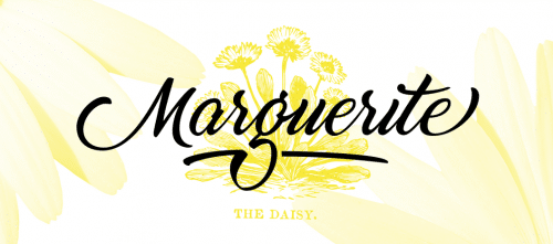 Marguerite Font