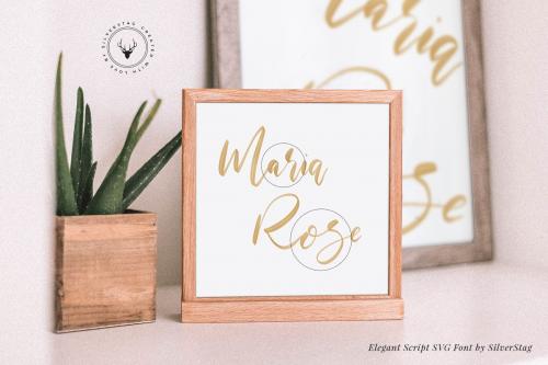 Maria Rose SVG Script Font