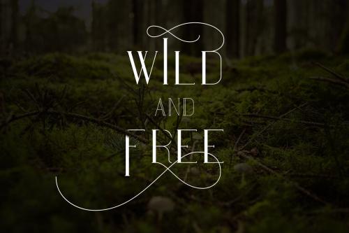 Maria Serif Font