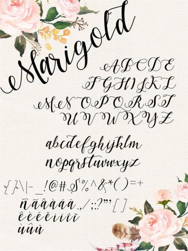 Marigold Font