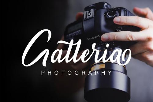 Maryland Script Font