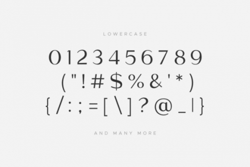 Megante Display Font