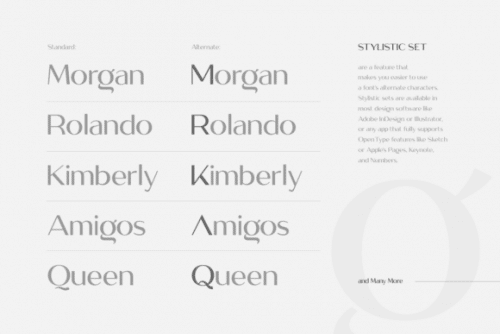 Megante Display Font