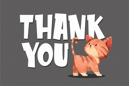 Meowza Playfull and Fancy Font