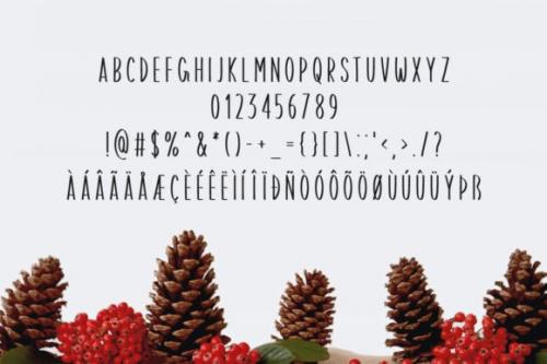 Merry Christmas Display Font