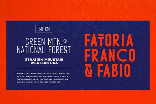 Metafora Sans Font Family