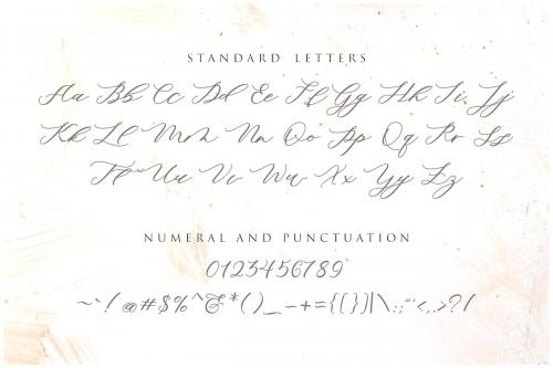 Minimalist Script Font