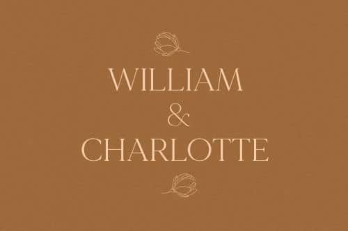 Mirage Serif Font
