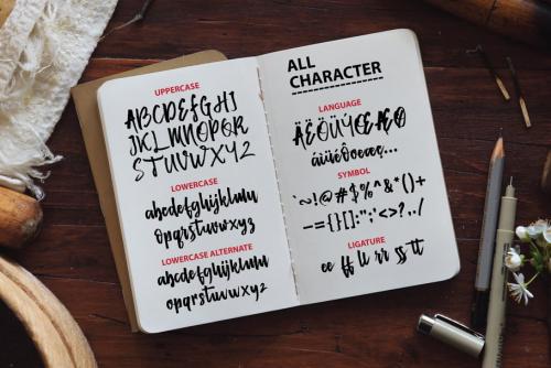 Mister Fast Brush Font