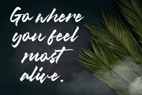 Misty Black Script Font