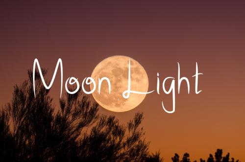 Moon Light Script Font
