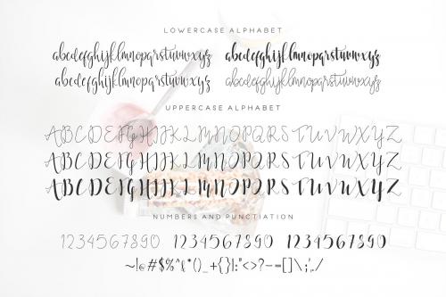 Moonlight Script Font
