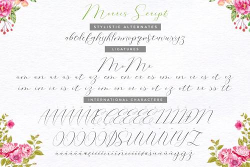 Morris Calligraphy Font