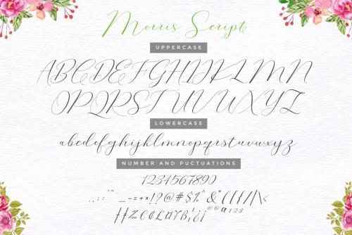 Morris Calligraphy Font
