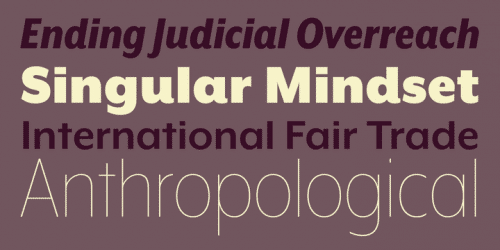 Mr Eaves XL Modern Font Family