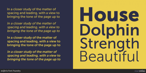 MuseoSans Download Free Font