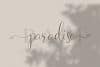 Naibacarte Script Font
