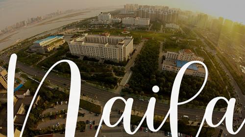 Naila Script Font