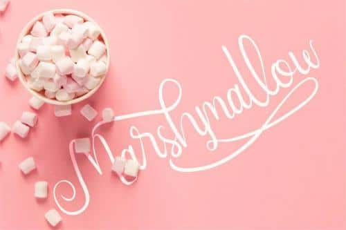 Nairi Amber Font Duo