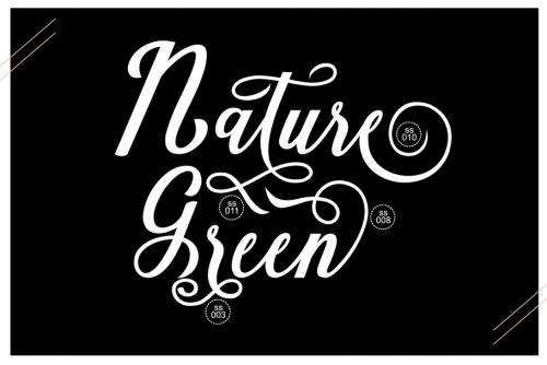 Natural Script Font