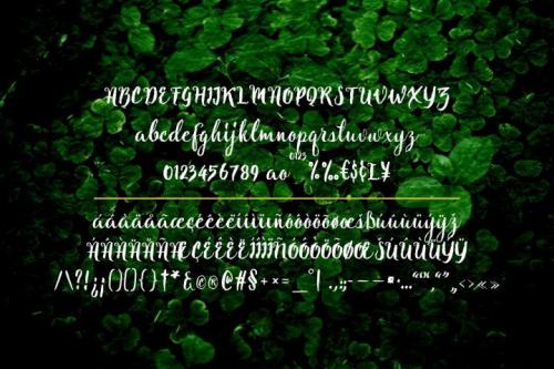 Natural Script Font Free