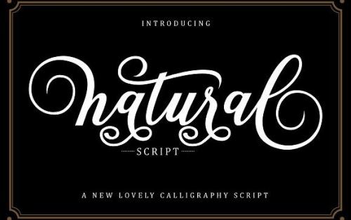 Natural Script Font