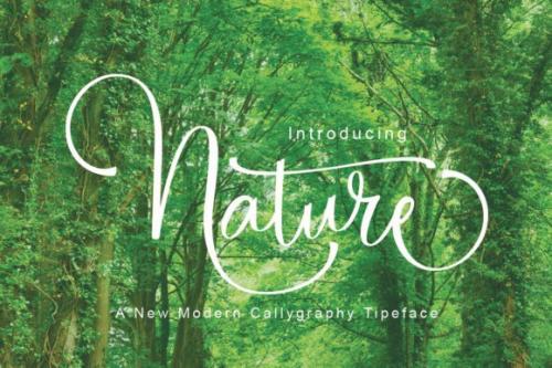 Nature Calligraphy Font