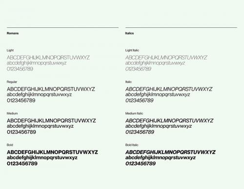 Neue Montreal Font