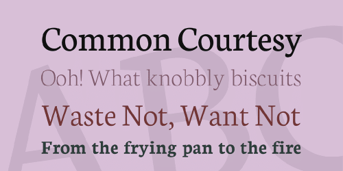 Neuton Font