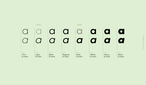 Nexa Font Family