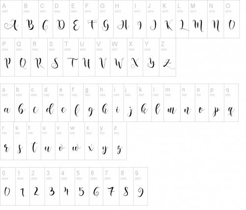 Nicole Calligraphy Font