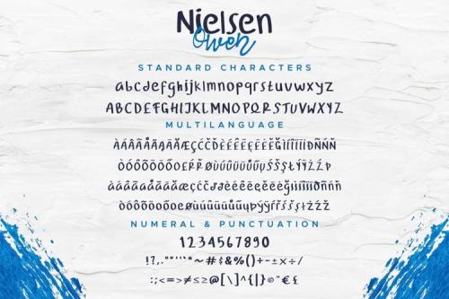 Nielsen Owen Font Duo