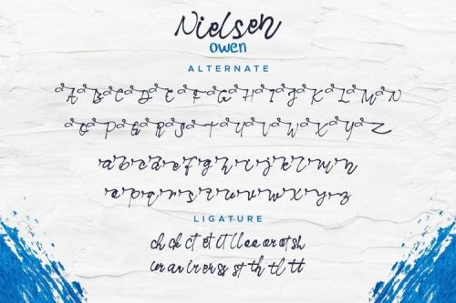 Nielsen Owen Font Duo