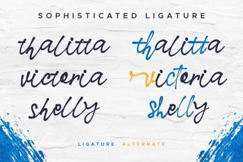 Nielsen Owen Font Duo