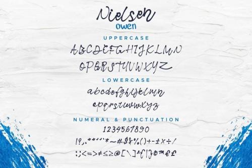 Nielsen Owen Font Duo