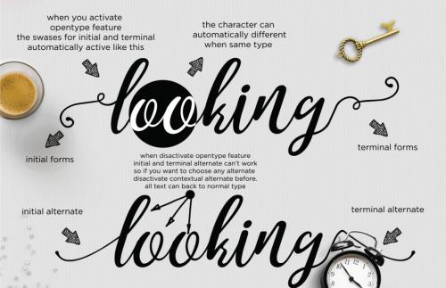 Noelan Script Font