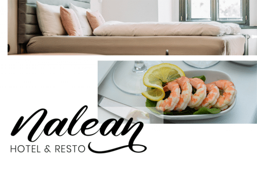 Nona Diana Script Font