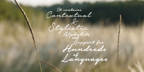 Notera Script Font