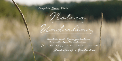 Notera Script Font