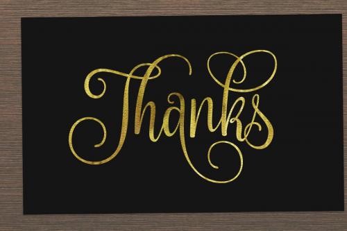 Nouradilla Font Family