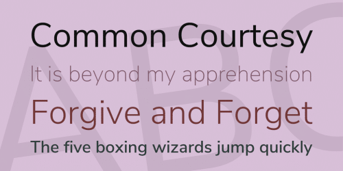 Nunito Sans Font Family