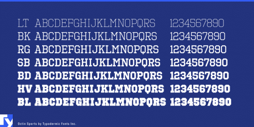 Octin Sports Font