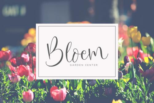 Oh Beloved Calligraphy Font