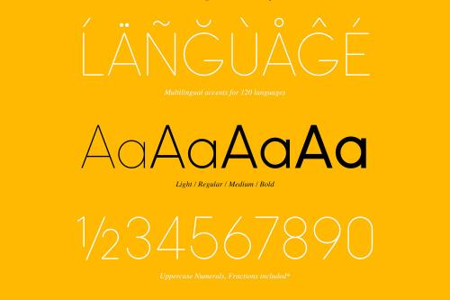 Omega Sans Free Font