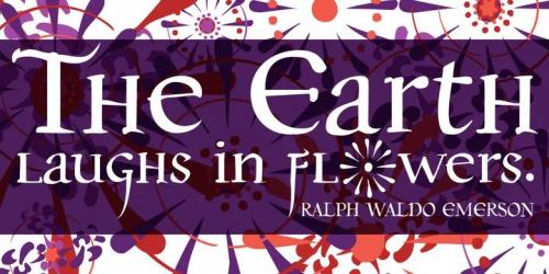 P Dwiggins Font Family
