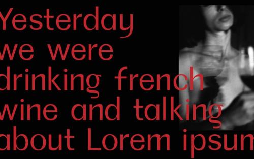 Palmer Grotesque Font