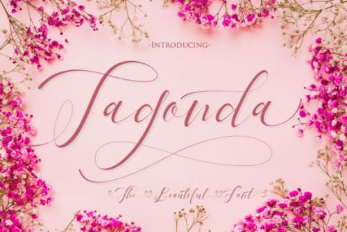 Pandora Calligraphy Font